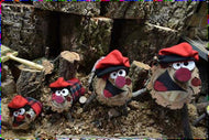 Tiò Tradicional Babytiooficial - 4 MIDES